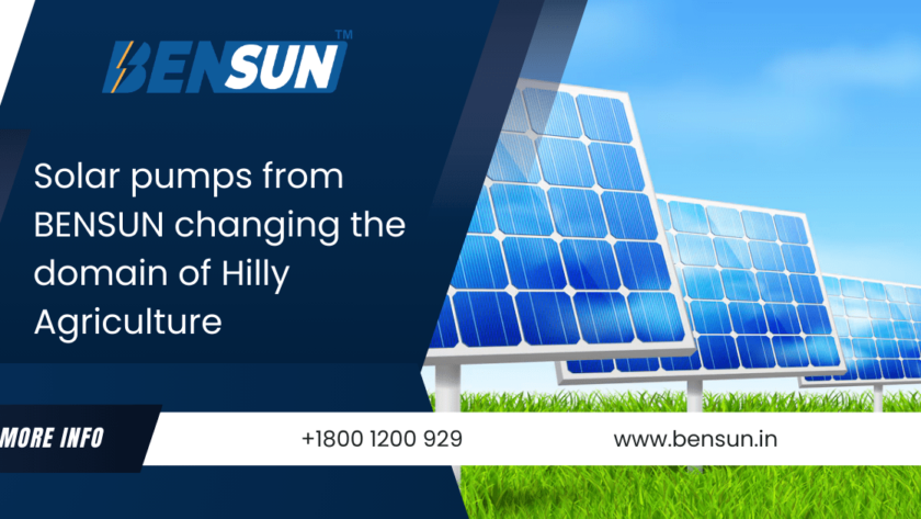 best solar plant installers